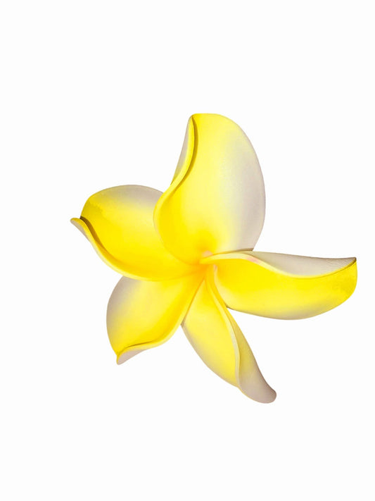 Island Petal Sei Pua