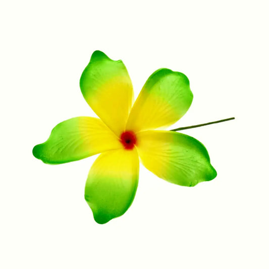 Pacific Sunrise Seis Multicolor