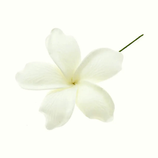 Pacific Sunrise Seis White