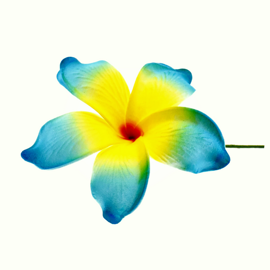 Pacific Sunrise Seis