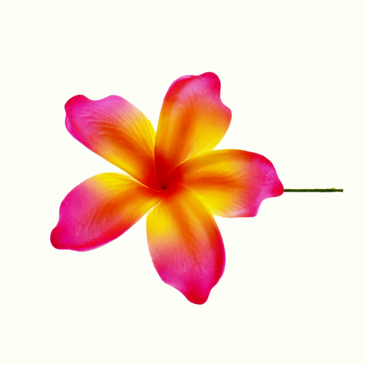 Pacific Sunrise Seis