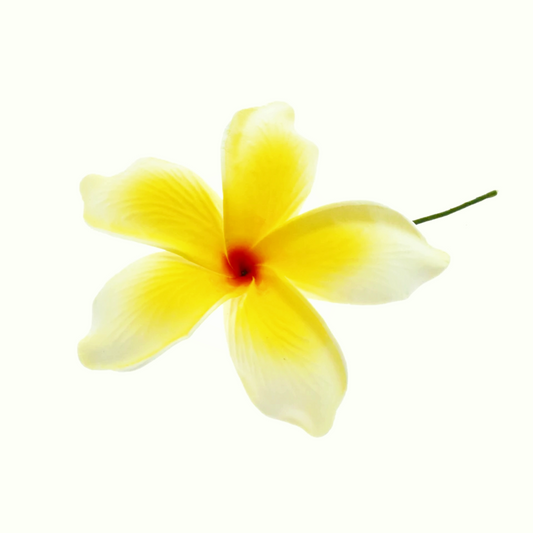 Pacific Sunrise Seis