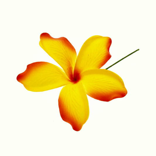 Pacific Sunrise Seis