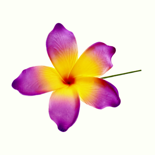 Pacific Sunrise Seis